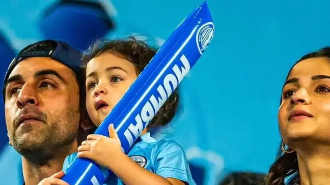 Description of the pic