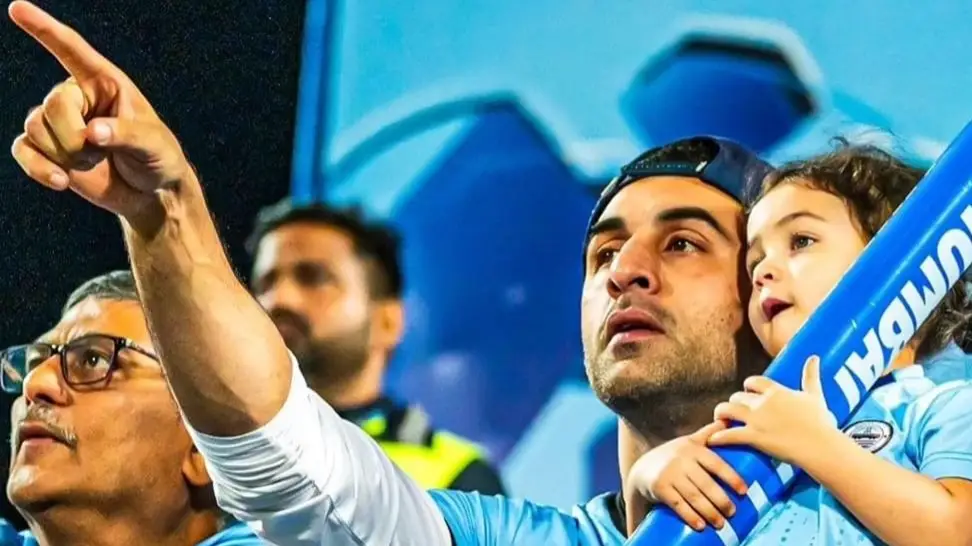 Description of the pic