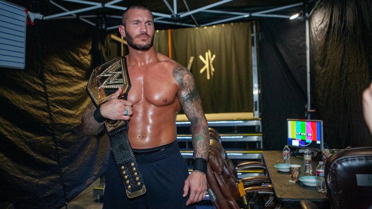 Description of the pic