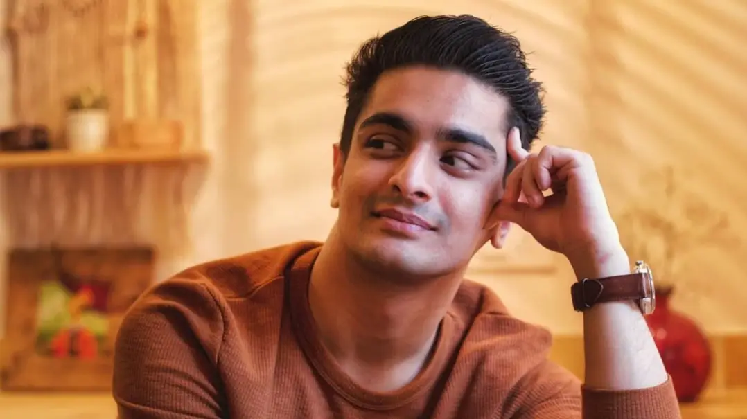 Description of the pic