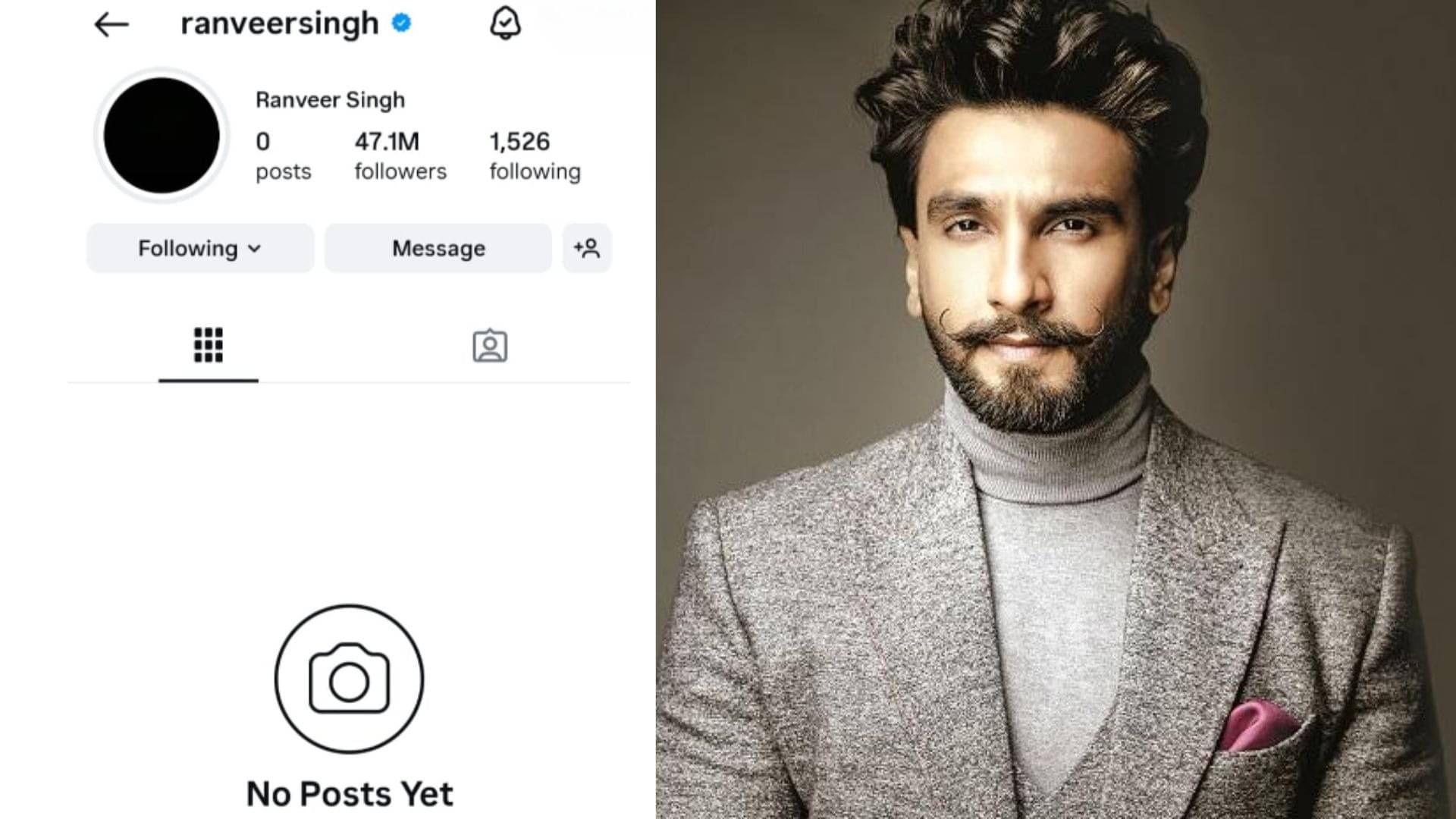 Description of the pic