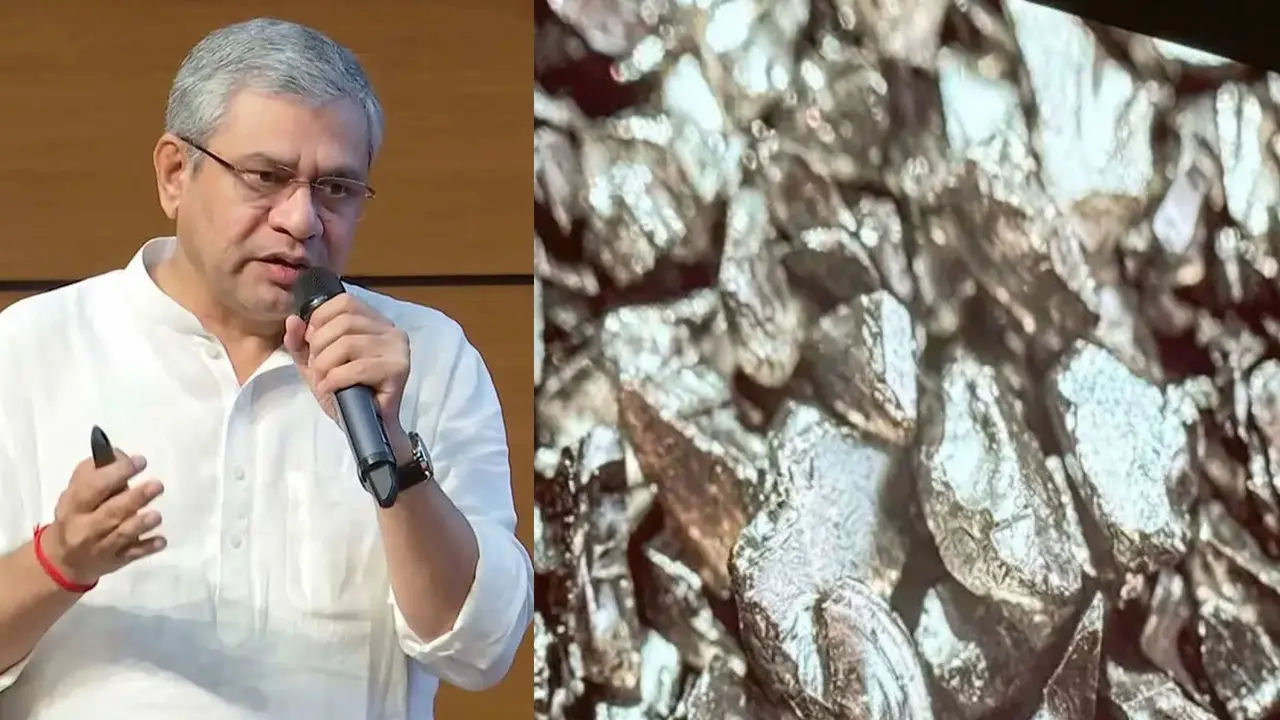 Rare Earth Permanent Magnets