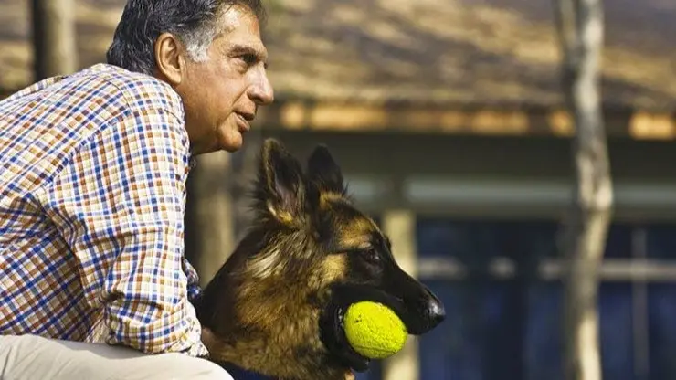 What Ratan Tata's Endless Love For Tito, Goa Taught 'Crazy Rich' Pet Owners? Ratn Tata pets