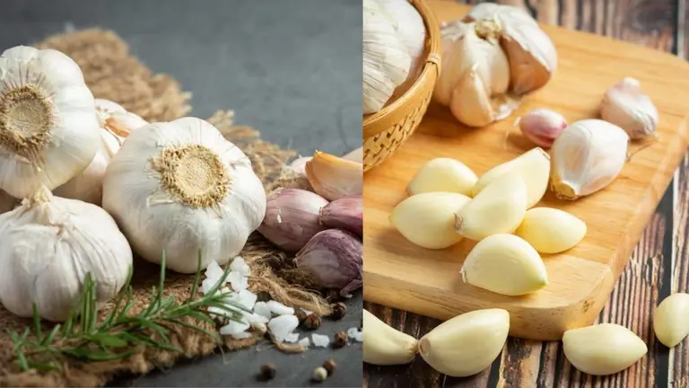 Real Garlic Vs Fake Garlic: देखते ही पहचान जाएंगे असली लहसुन, बस याद रखें ये 5 आसान टिप्स; 90% लोग नहीं जानते होंगे Real Garlic Vs Fake Garlic