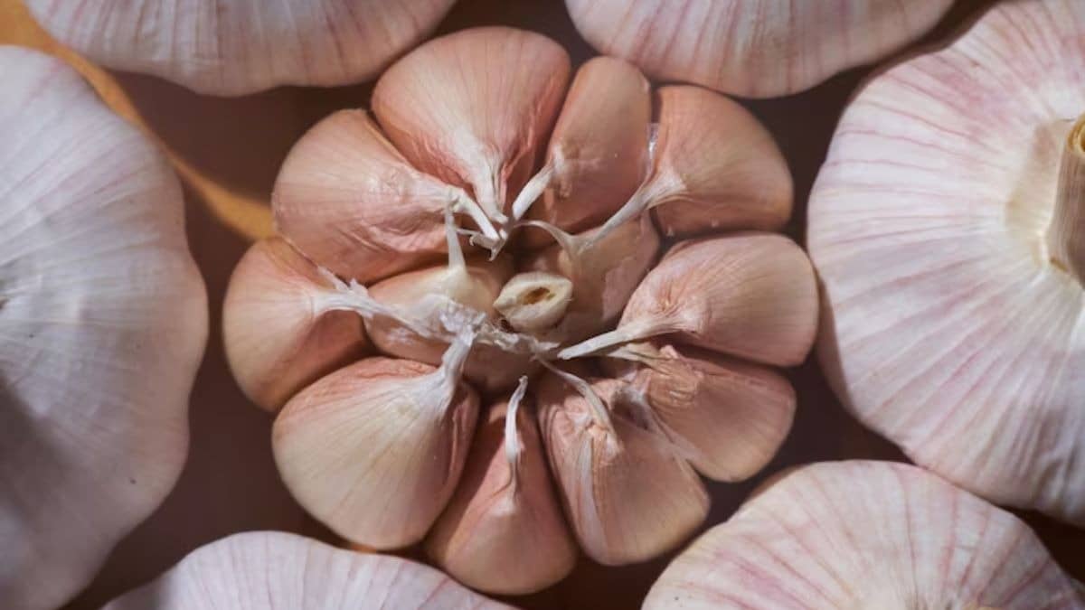 Description of the pic