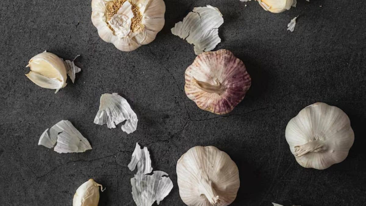 Description of the pic