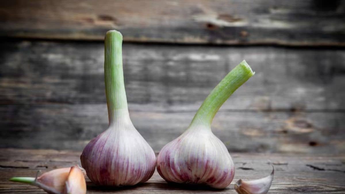 Description of the pic