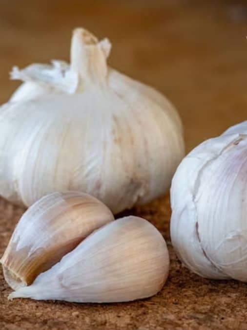 Real Garlic Vs Fake Garlic