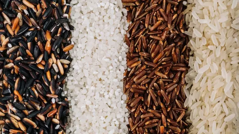 Brown, Black Vs White Rice: वजन घटाने के लिए कौन-सा चावल है बेस्ट.. लाल, काला या भूरा, किसमें कितनी कैलोरी और क्या हैं फायदे? Red Black Brown Rice vs White Rice