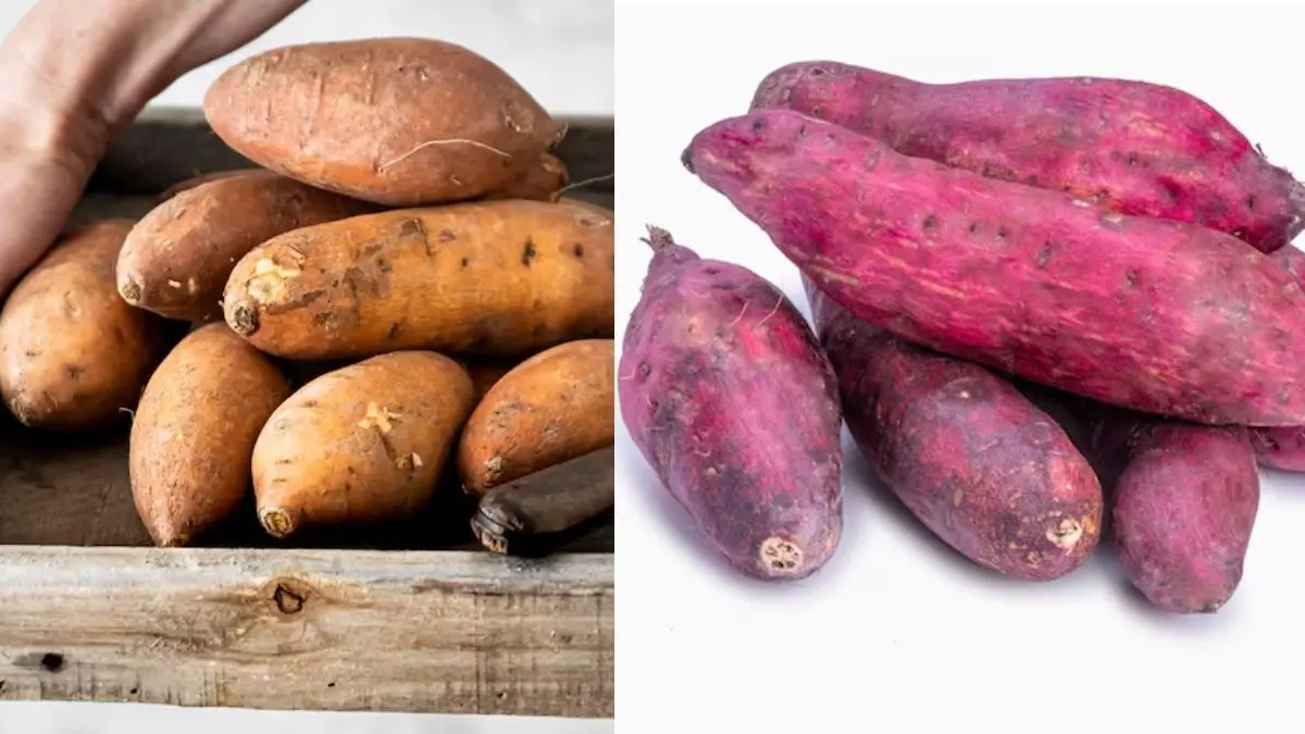 Red Vs White Sweet Potato