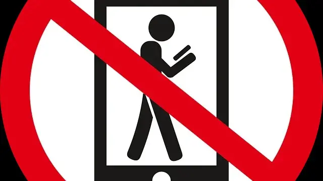 Those Recording Reels At Polling Booths In Delhi Elections Will Face Legal Action, Here's What Police Said Reel recording will not be allowed inside polling booth