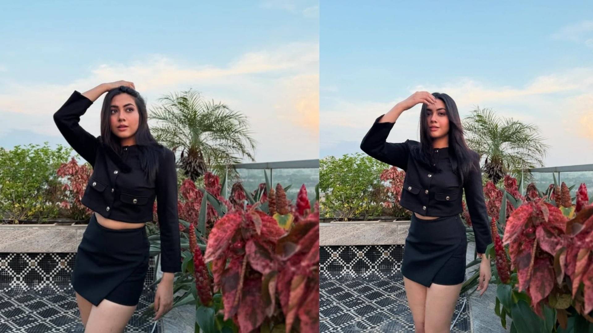 Description of the pic