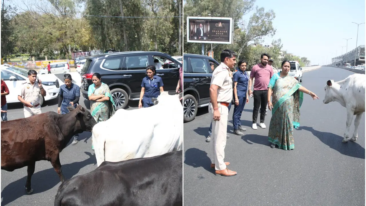 Rekha Gupta Instructs Authorities On-Cam to Find Shelter for 'Gau Mata'