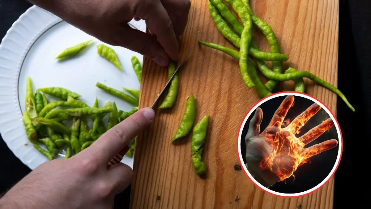 Remedies for Chilli Burn: हरी या लाल मिर्च काटते ही जलने लगते हैं हाथ, तो अपनाएं ये 5 आसान घरेलू उपाय, तुरंत मिल जाएगी राहत Remedies for Chilli Burn