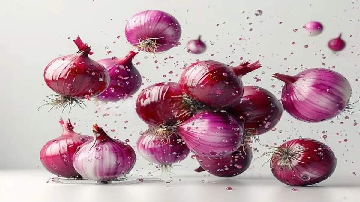 Representation of photo