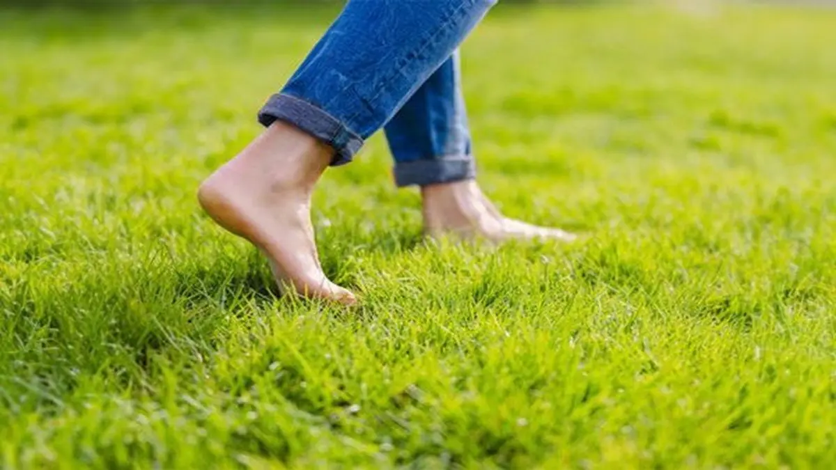 Representation of photo