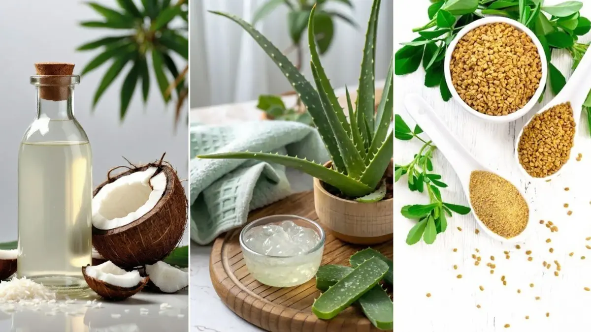 Homemade Remedies To Combat Dandruff And Itchy Scalp Representation of photo