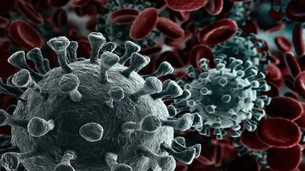 What Is H3N2 Flu? Know Symptoms, Causes, and Remedies Representation of photo