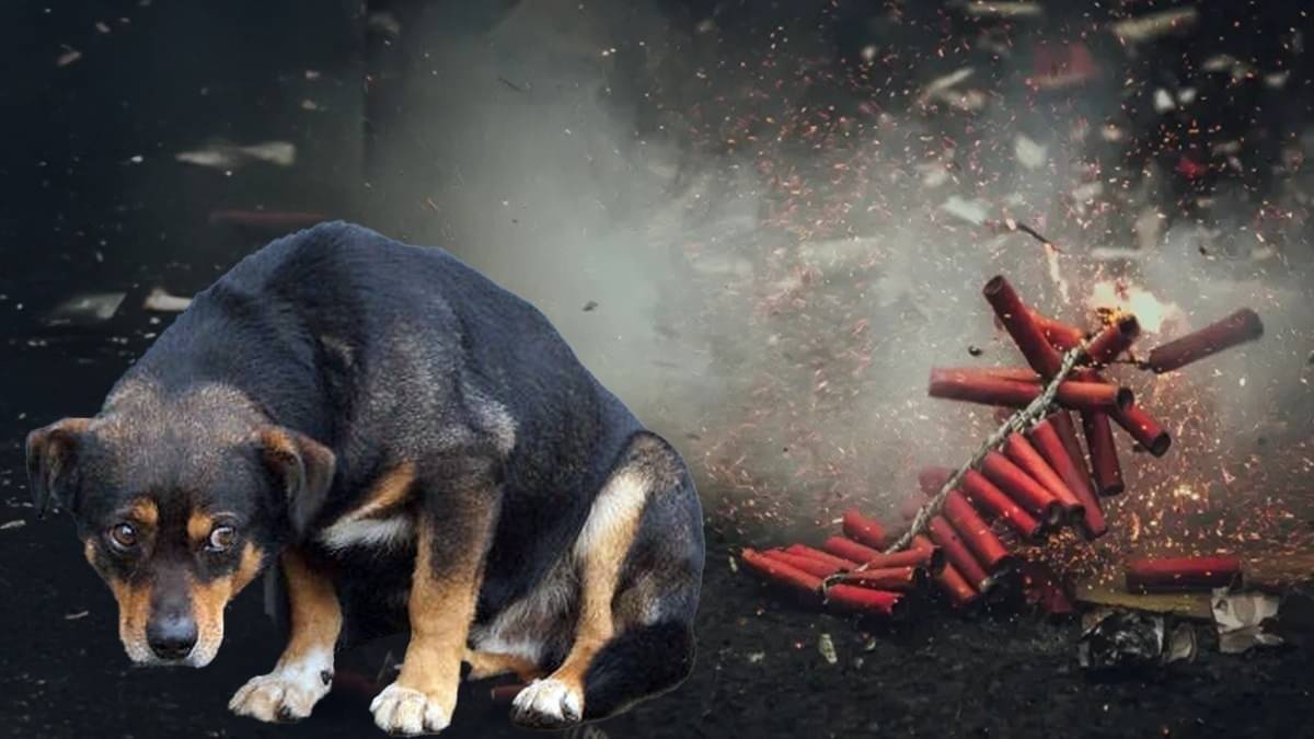 Representation of photo