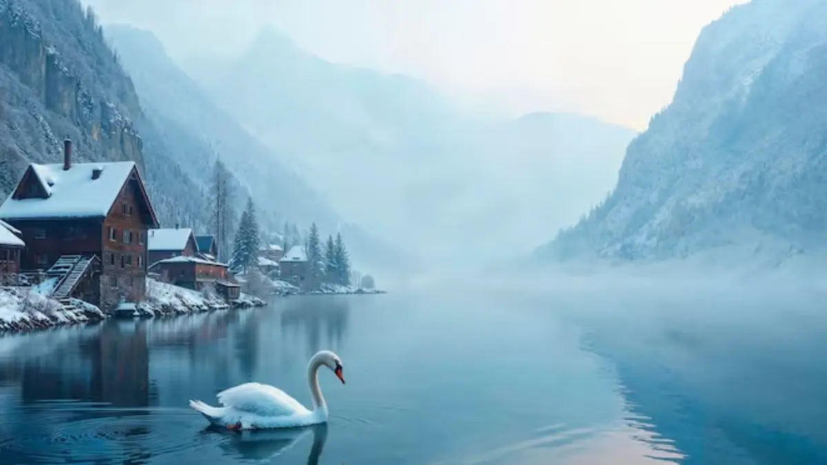 Representation of photo