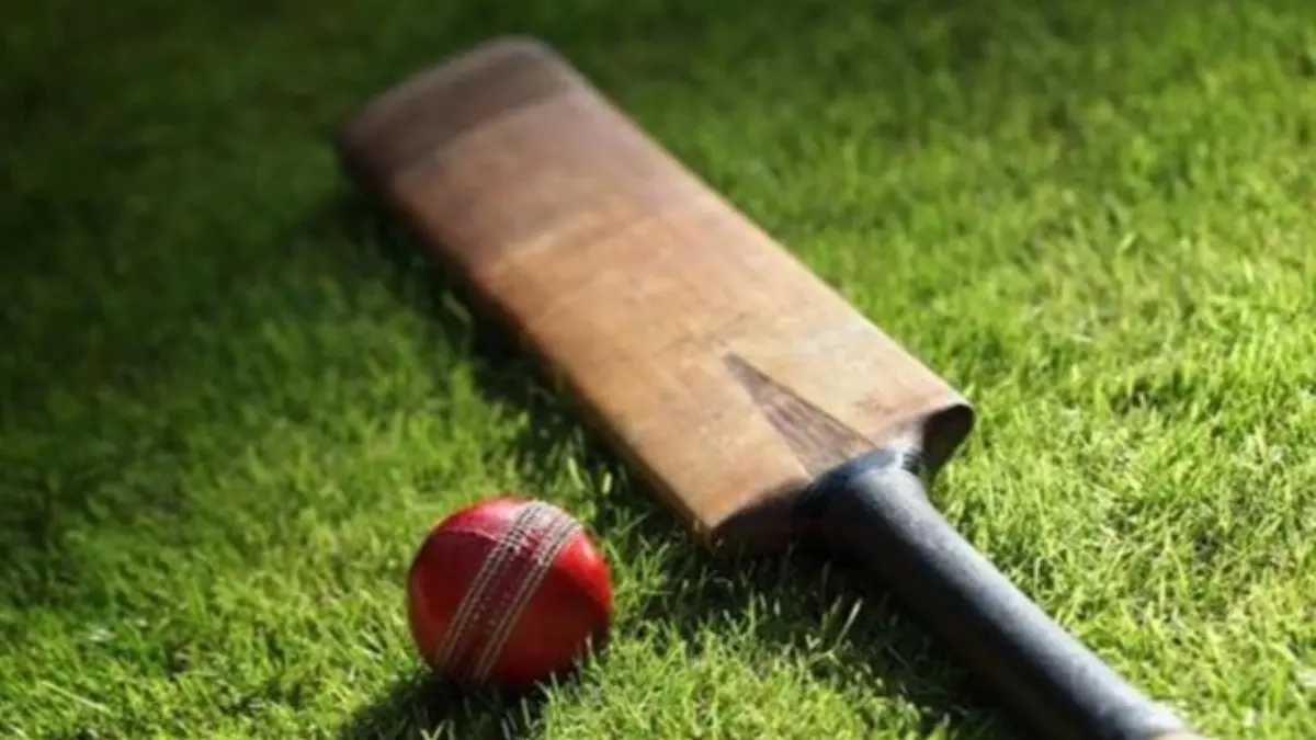 Representative Image (Cricket)