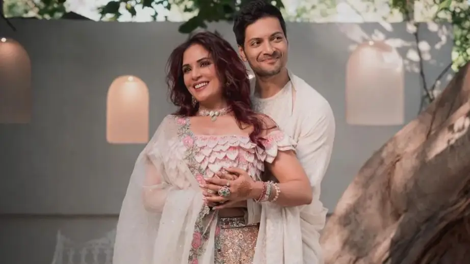 Description of the pic