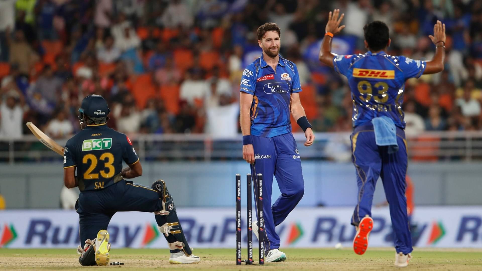 Description of the pic