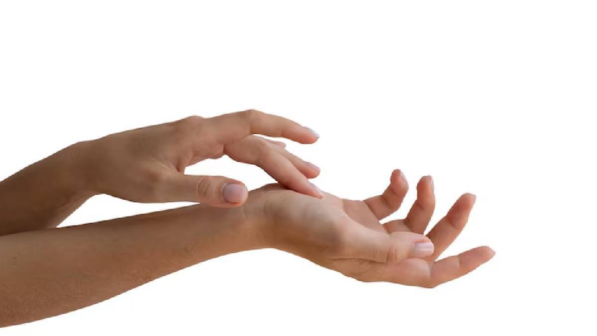 Description of the pic