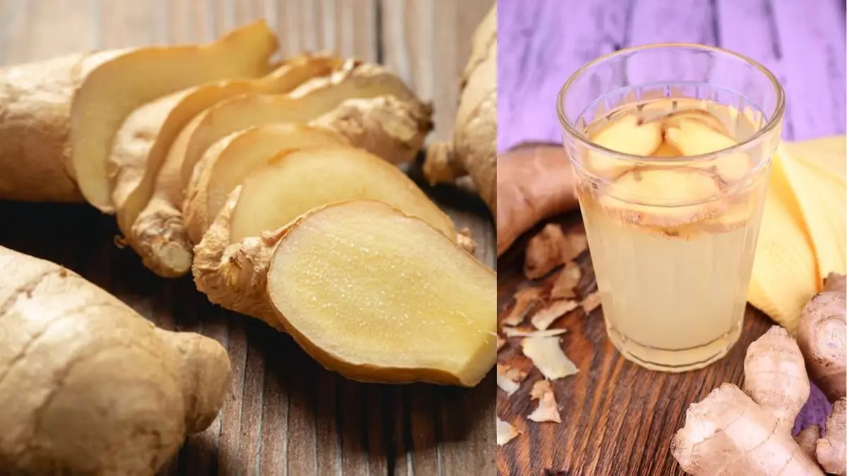 right way to eat ginger also know disadvantages cons of adrak khane ke fayde or nuksan