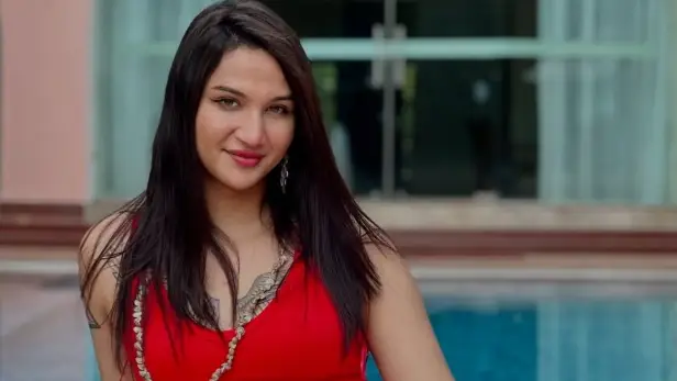 Description of the pic