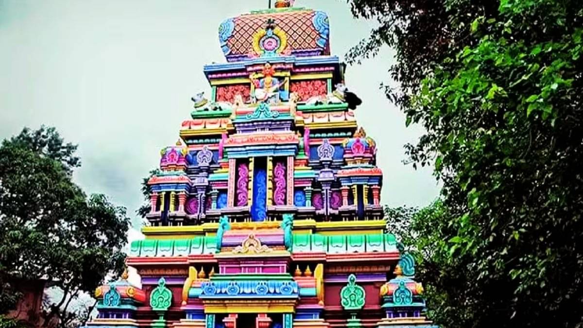 Description of the pic