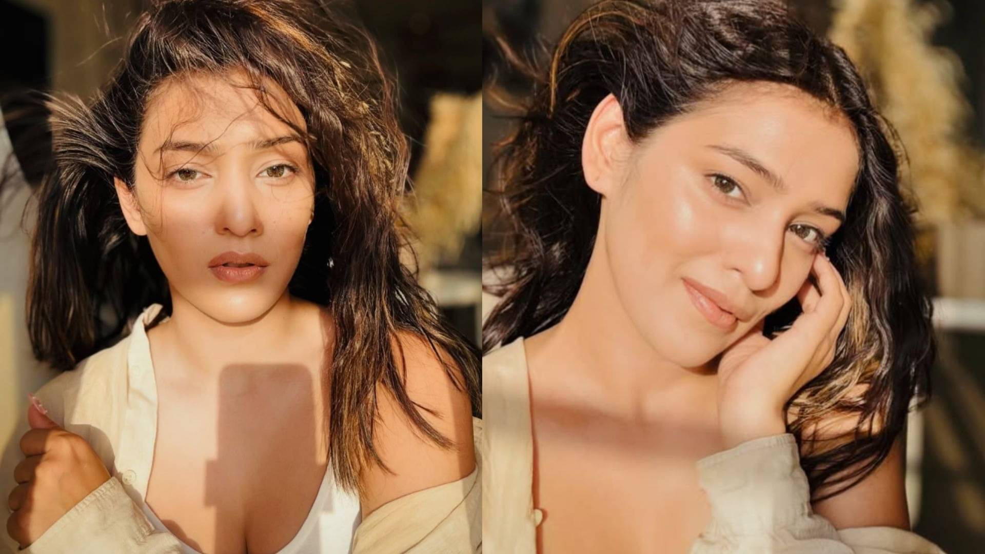 Description of the pic