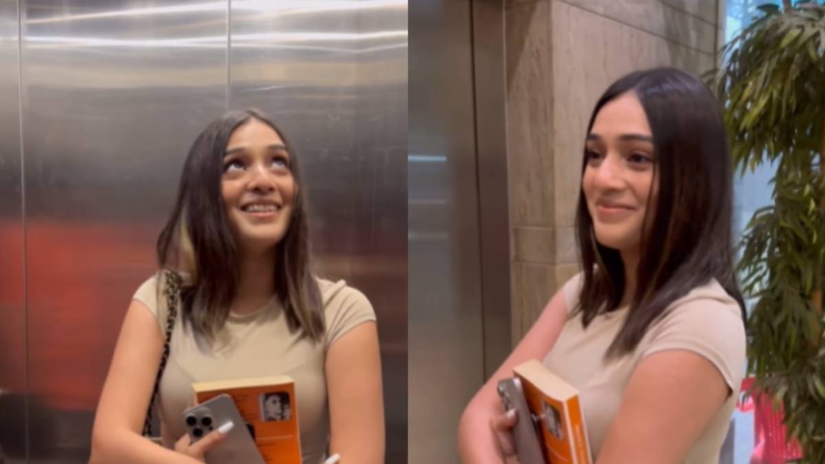 Description of the pic