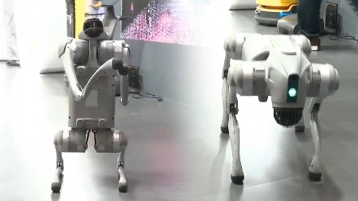 Robotic dog displayed at AI Impact Summit amid Galgotias University controversy