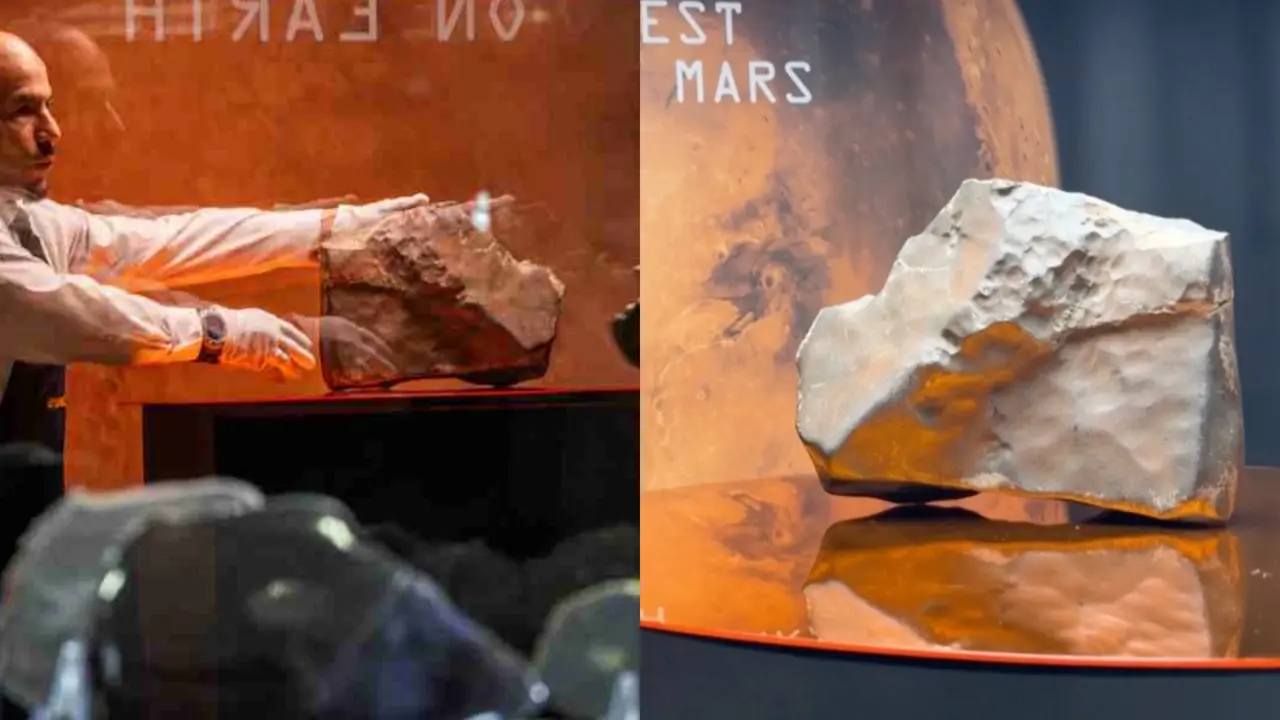 Biggest Piece of Mars on Earth Is Up for Auction in New York With $4 Million Price Tag. Why So Expensive? Rock From Mars Up for Auction in New York