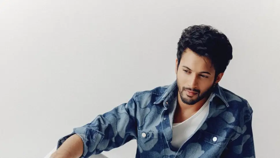 Description of the pic