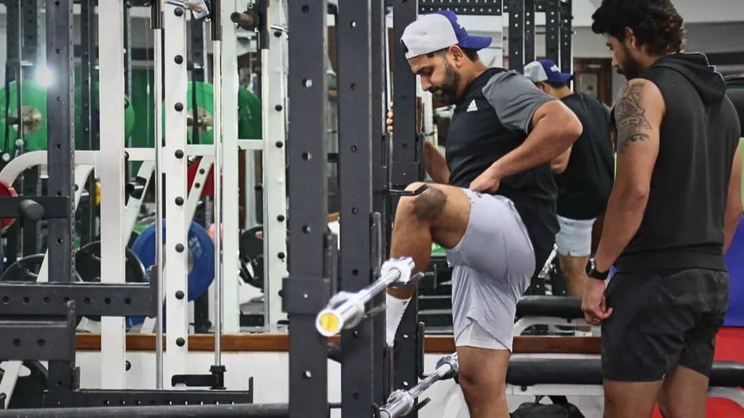 Description of the pic