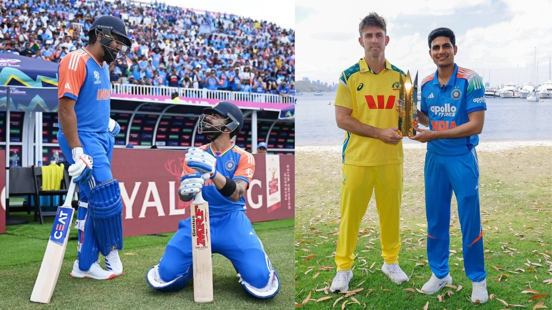 Description of the pic