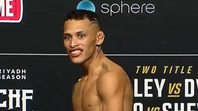 Description of the pic