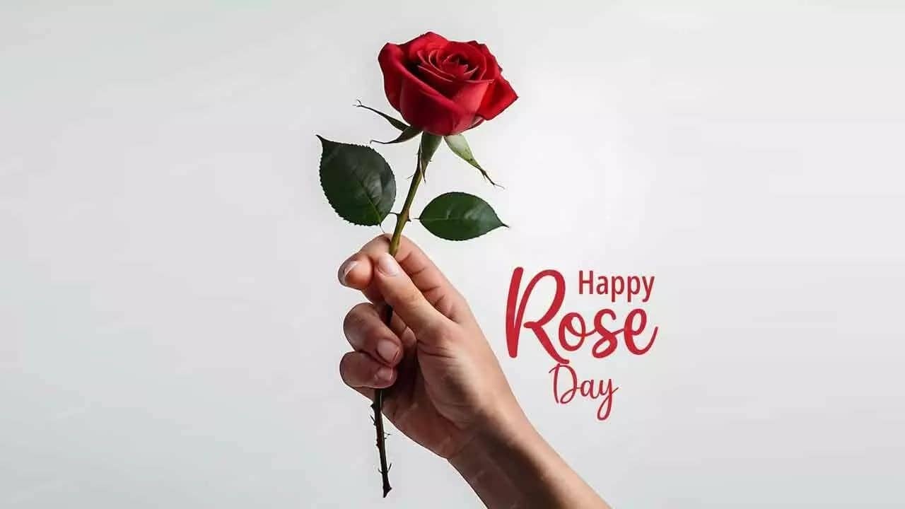 Rose Day 2026