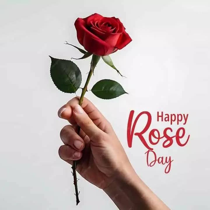 Rose Day 2026