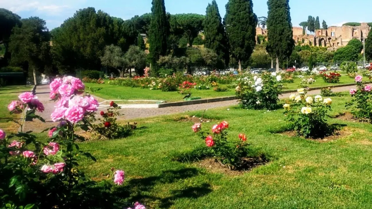 Make Rose Day Special By Visiting These Stunning Rose Gardens With Your Partner Rose Day 2026