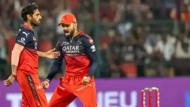 Description of the pic