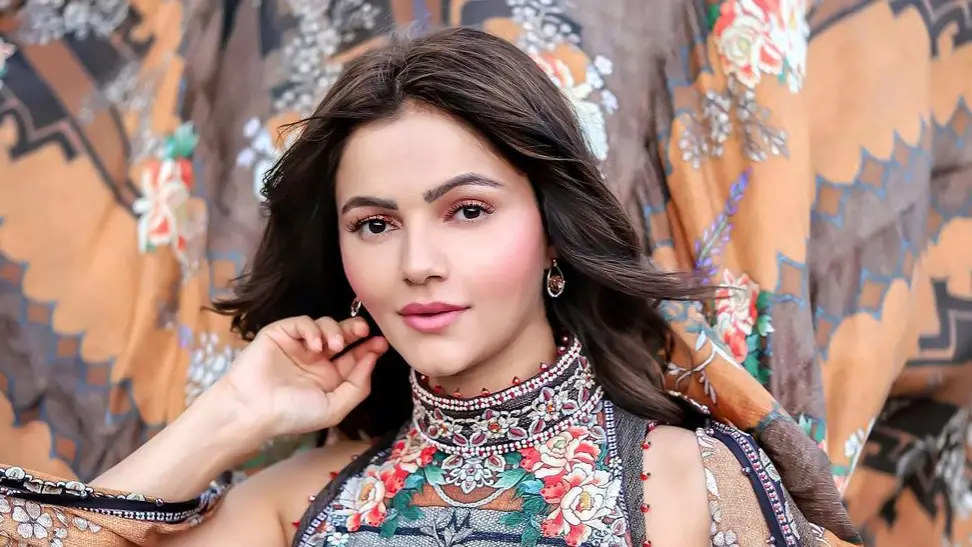 Description of the pic