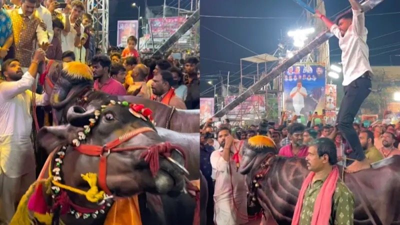 What Is Sadar Sammelan? Know Why Telangana Declares It As New State Festival Sadar Sammelan