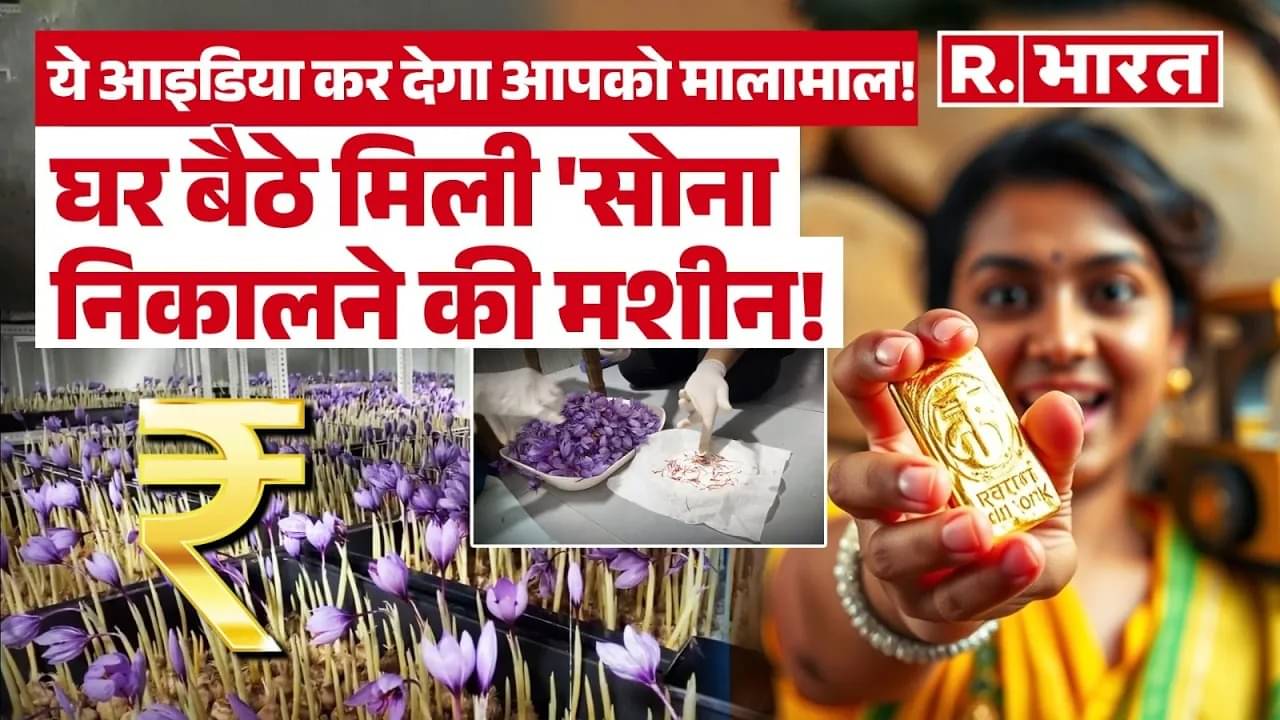 Saffron Cultivation indore