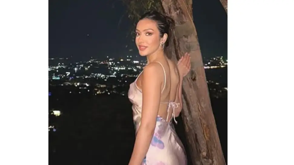 Description of the pic