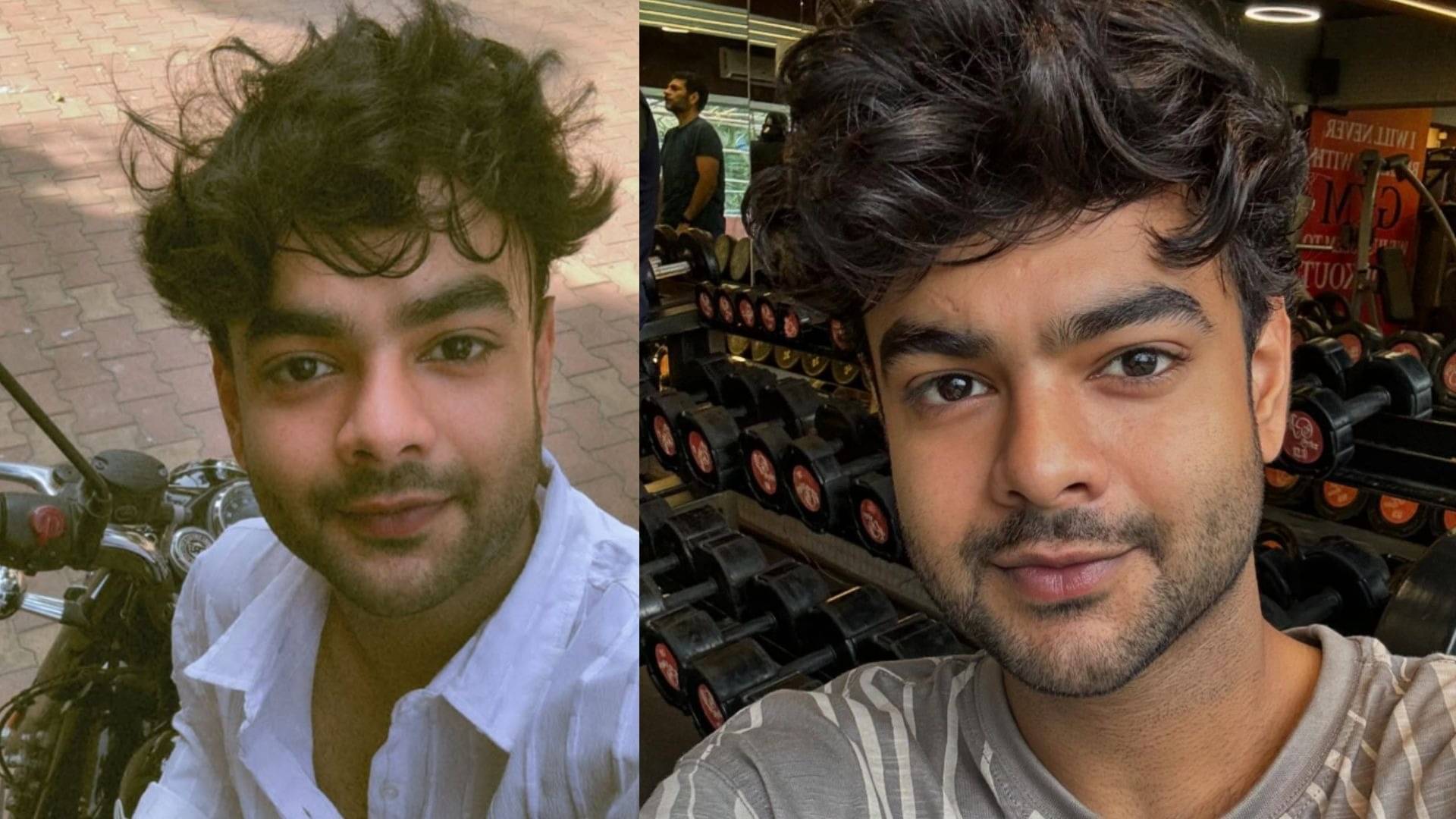 Description of the pic