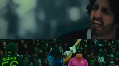 Description of the pic