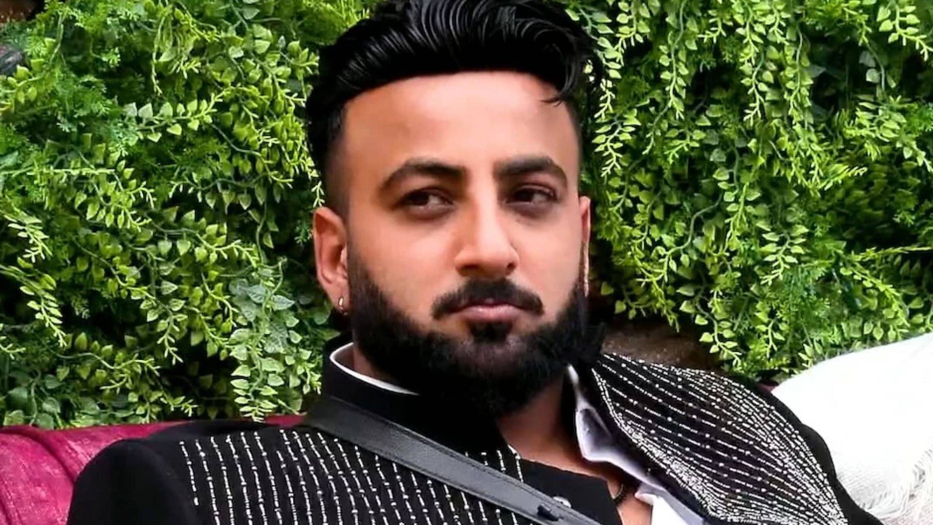 Description of the pic